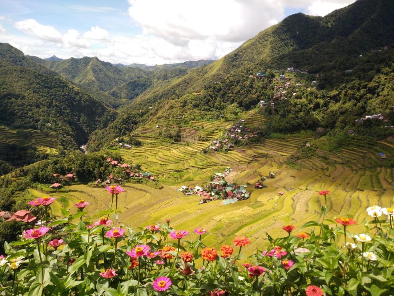 Batad View Inn And Restaurant Банаю Экстерьер фото